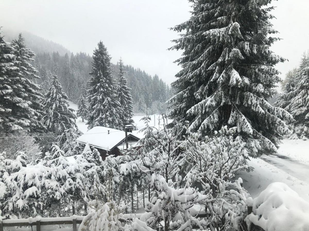 Route Des Joncs 300 Appartemen Les Paccots Екстер'єр фото