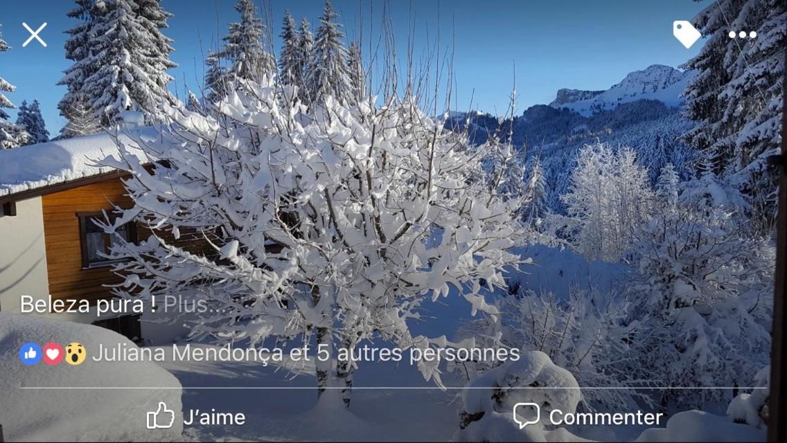 Route Des Joncs 300 Appartemen Les Paccots Екстер'єр фото